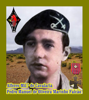 Pedro-Manuel-de-Oliveira-Marinho-Falc-o-350