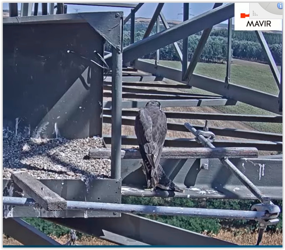 Screen Shot 08-10-22 at 12.02 PM 001