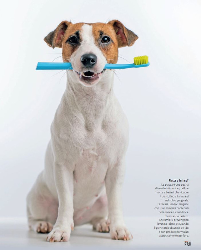 QuattroZampe Feb 2023 (4)