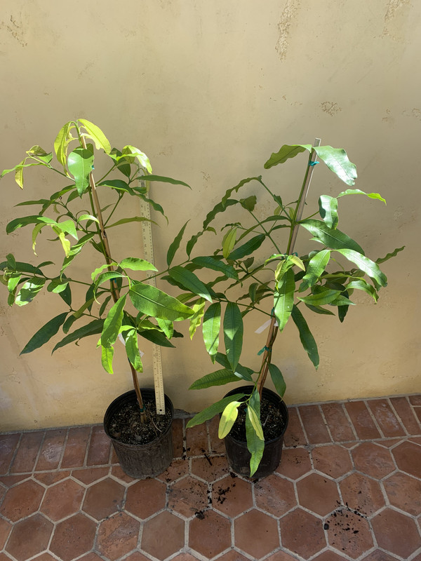 8958E0EB-4216-42EA-9D63-AEBD9CD6C1E2