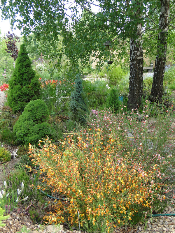DSC00770