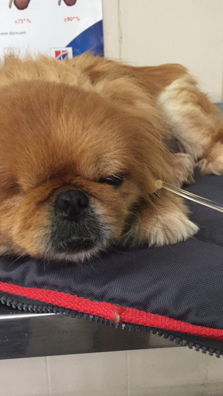 7F0E0B27-5430-4E6A-B389-389374BD7E66