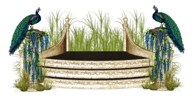 PeacockDreams_MM_Element (119)