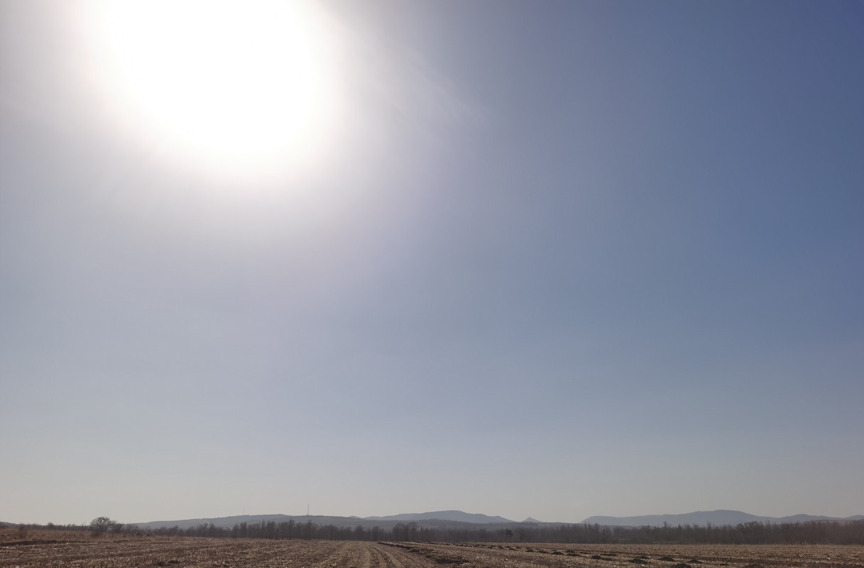 IMG-20240225-113119.jpg