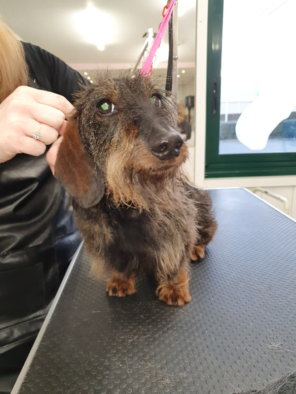 [Image: 20220120-170801.jpg]