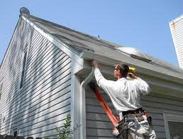 Gutter Cleaning