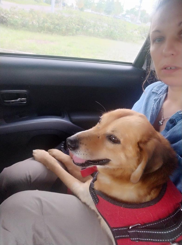 743A71A3-8D0C-4B0D-95D7-DE80E3DDC114