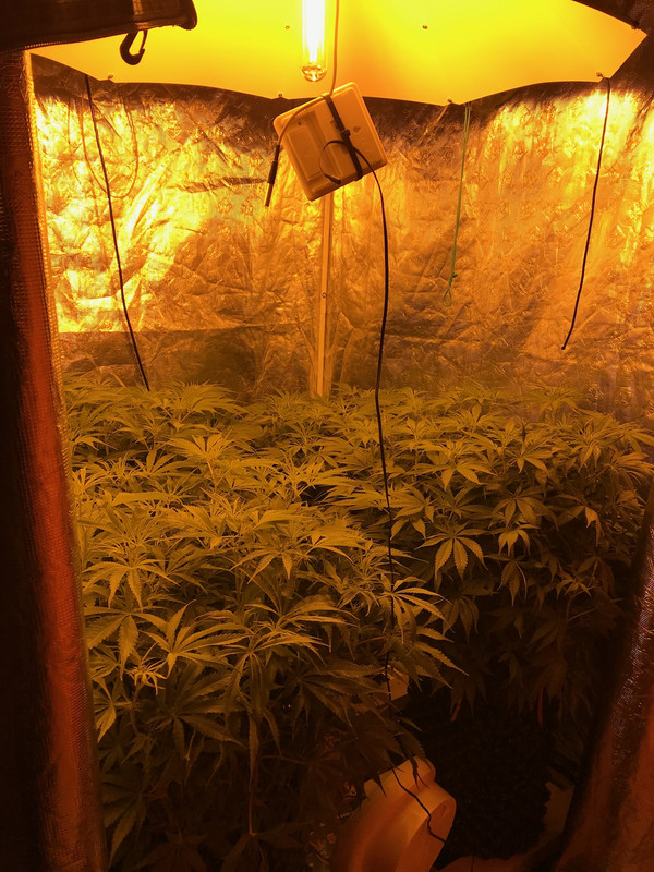 DB406710-76FD-490C-B192-5580D3836928