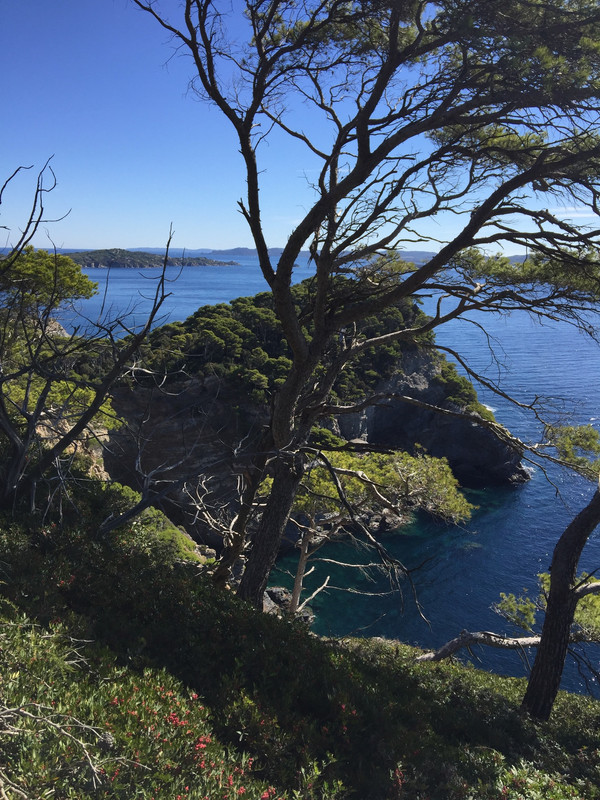 D1D29B3B-0B8D-49EF-8B2C-485DCEEEAAA0