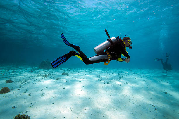 Koh Tao Dive Course