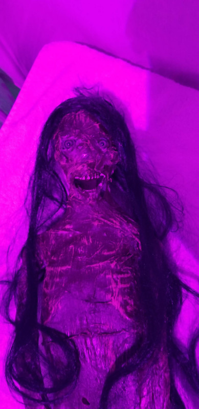 EE83B7D3-67EC-4329-8295-DC921F697959