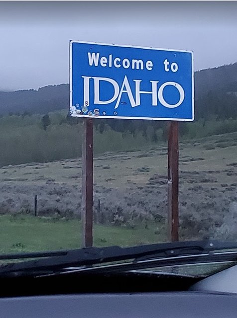 [Image: IDfrom-MT202306.jpg]