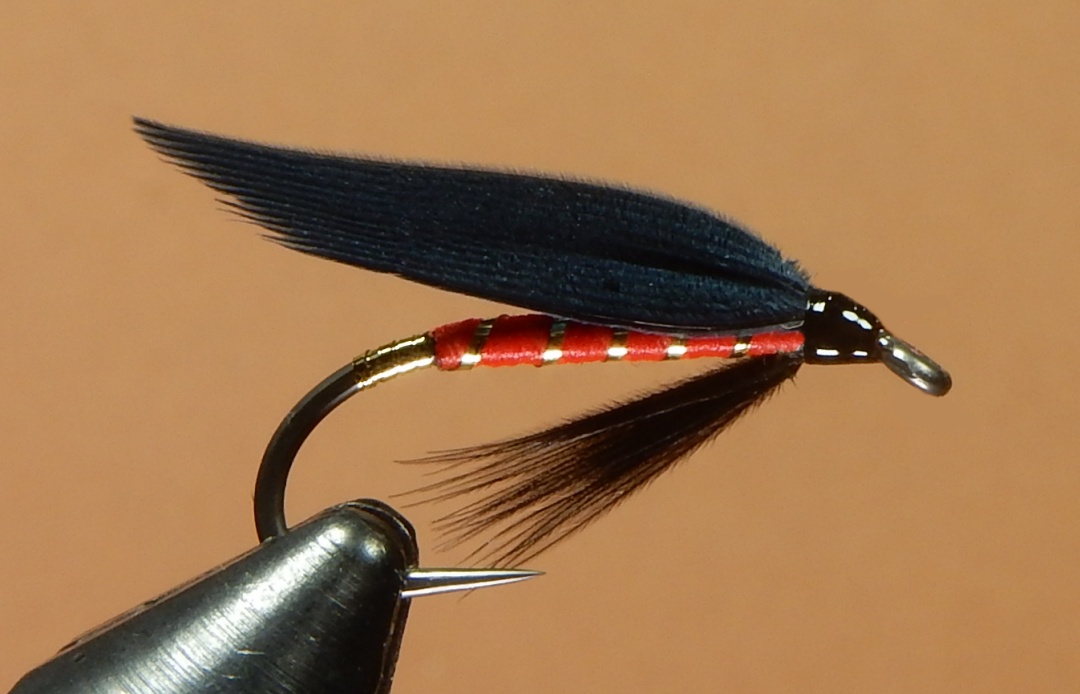 Park-Fly-1080.jpg