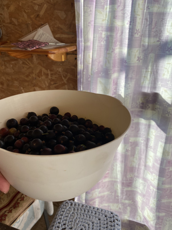 44B0559B-B5DC-46E4-80BD-D84723E5B692