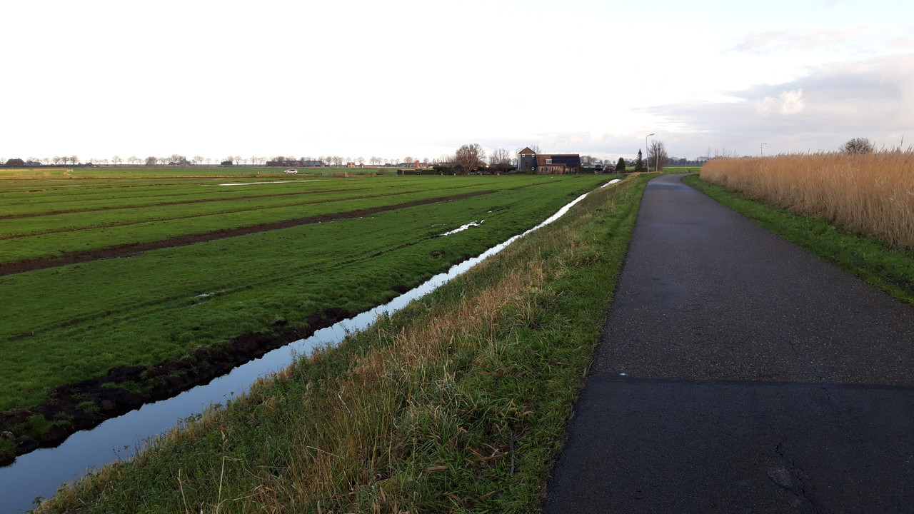 Dutch Countryside_06
