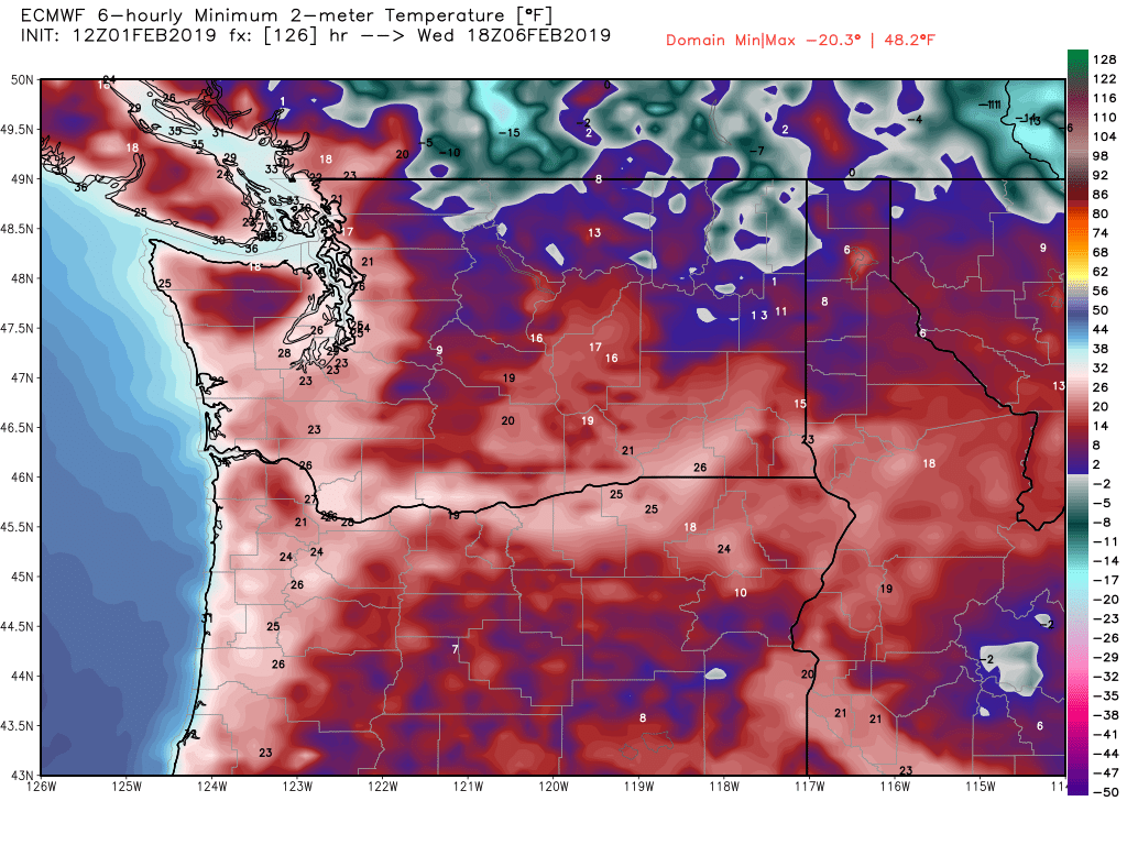 ecmwf-t2min-washington-22.png