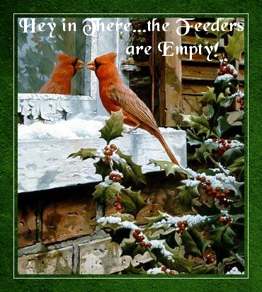 Cardinal-Feeders-Empty