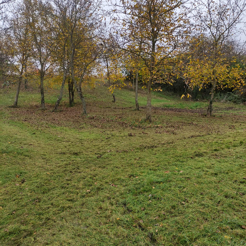 567154239 4462850270613029 6146116052379629400 n