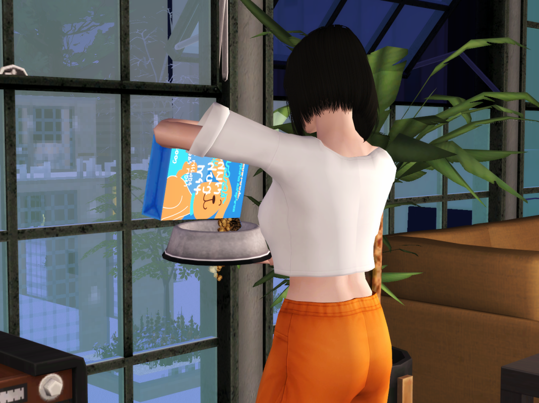 Sims2-EP9-RPC-2023-01-26-18-58-42-34