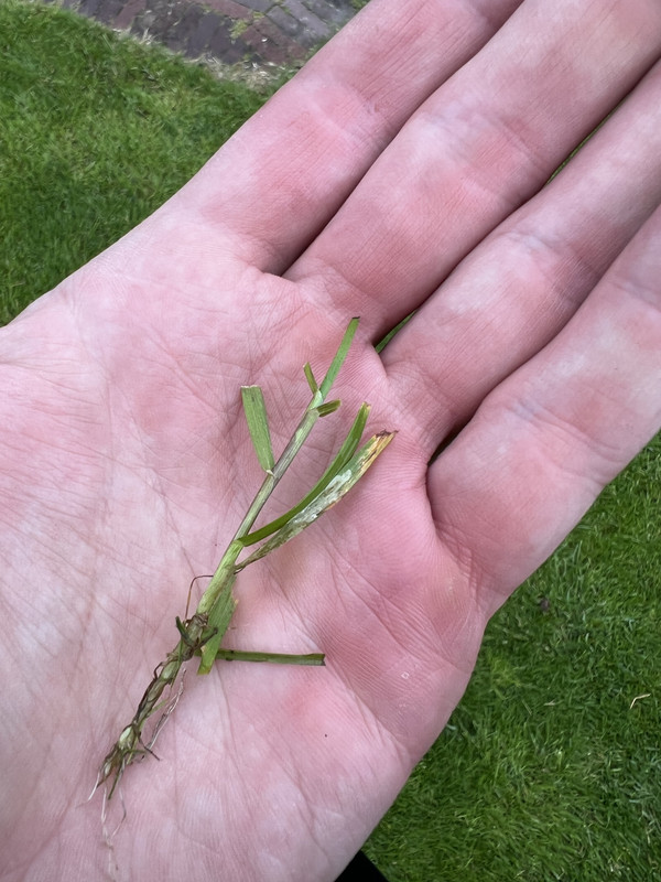 5CD926AC-3729-42DF-8708-A7E663A3EBF5