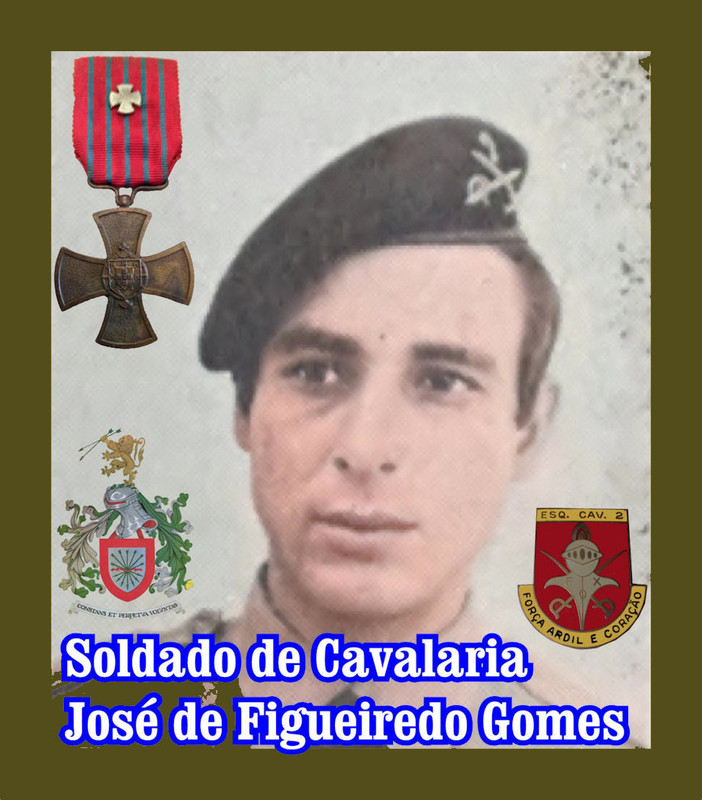 José de Figueiredo Gomes_920