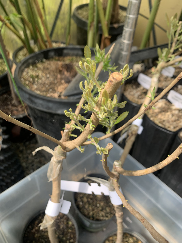 96E8CF29-2F9B-454A-AB38-6073AFA9B6B7