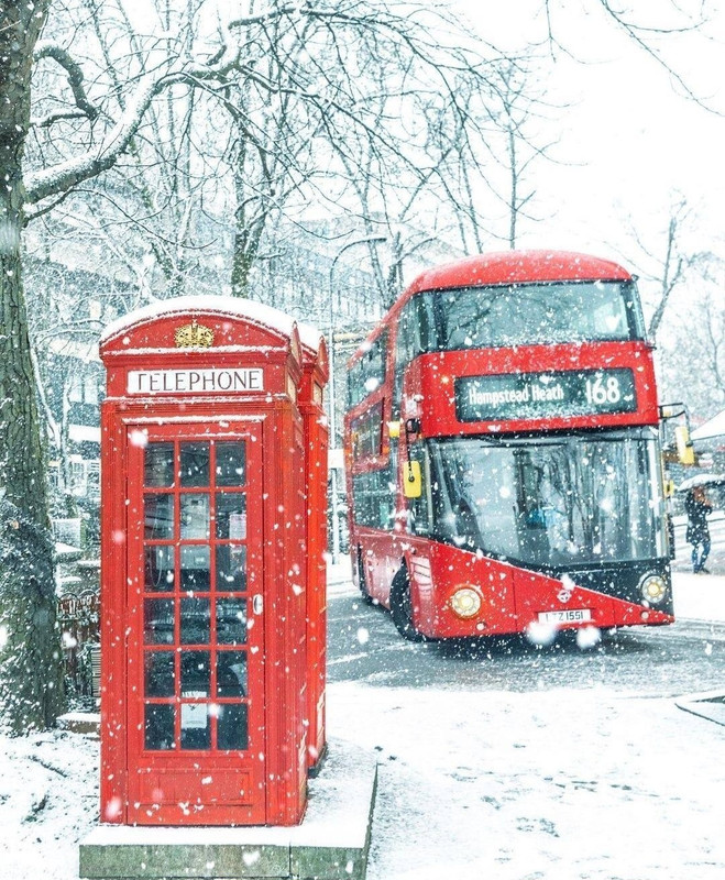 Screenshot_20231115_221518_Instagram