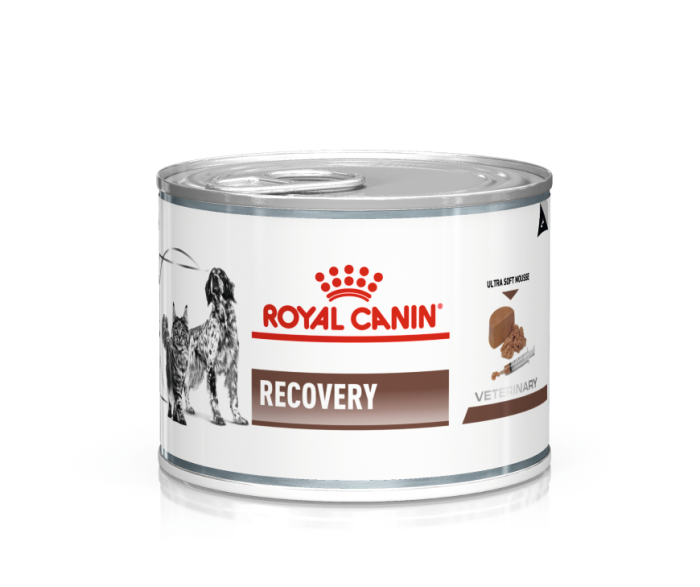 Роял конс RECOVERY 195г