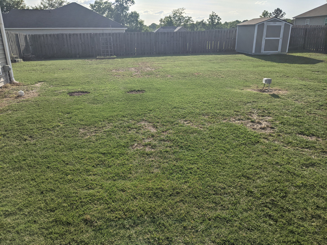 2021.05.21 back yard 1