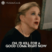 favourite-sitcoms-av.gif