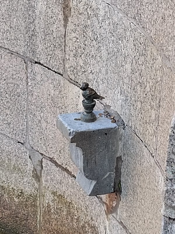 https://i.postimg.cc/cJTJphV6/06-IMG-20240703-183405.jpg