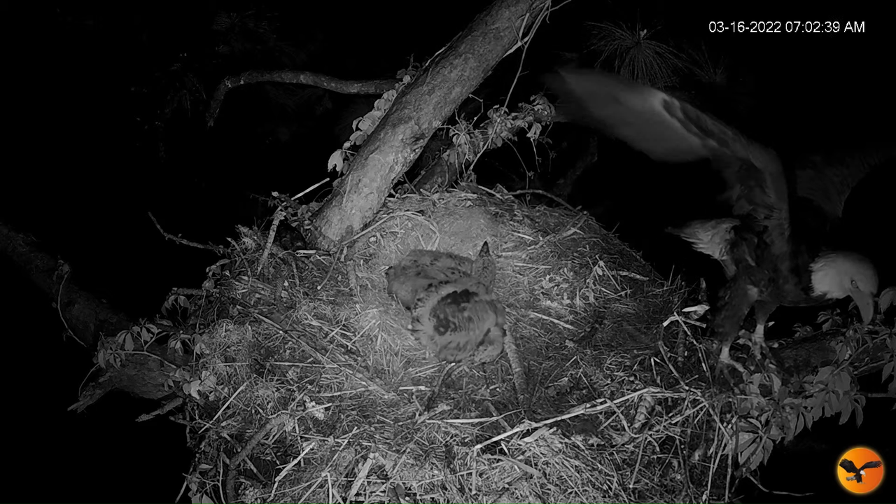 EC 4K Overhead Cam 13-14-26 screenshot