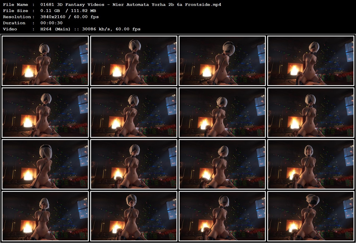 01681 3D Fantasy Videos - Nier Automata Yorha 2b 6a Frontside.mp4