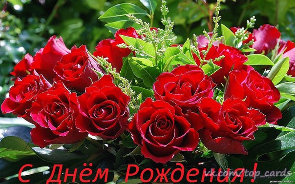 https://i.postimg.cc/cJTZwgGW/1474722625-krasivye-kartinki-i-otkrytki-v-den-rozhdeniya-383.jpg