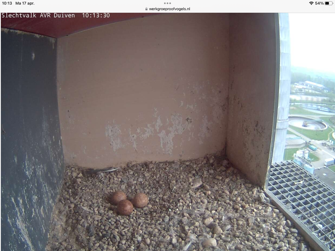 3E3C303C-50F9-47A1-BA0F-0BB90D9CA092