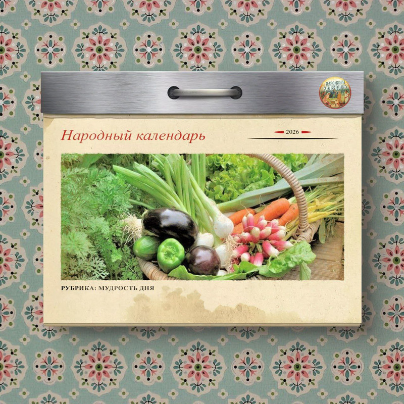 [Изображение: photo-2026-02-21-11-59-41.jpg]