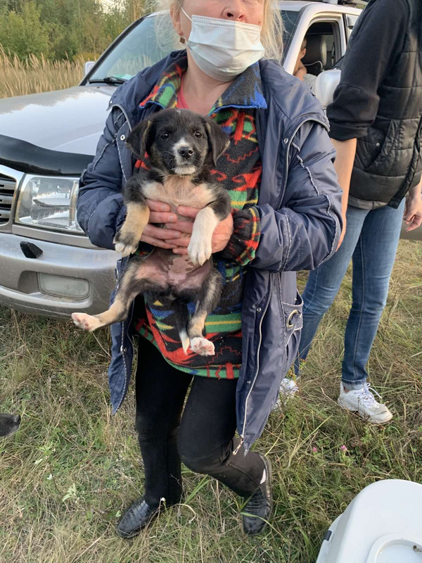 IMG-3caf2931cbcf128685f82dce299fafa3-V