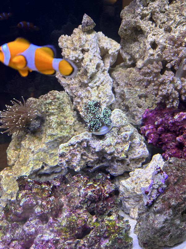 4D8B6B6E-18D2-4E8F-879B-8F9C3E5E9221