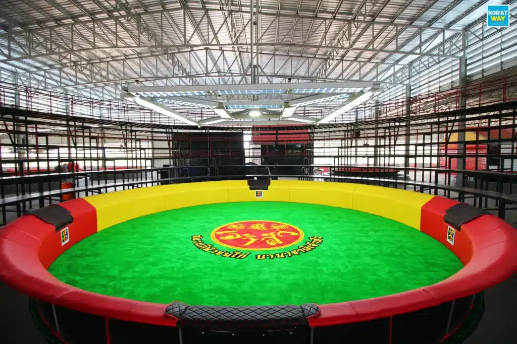 ภาพรวมภายใน สนามกีฬาชนไก่นานาชาติ เจ้าสัว หลายสังเวียน