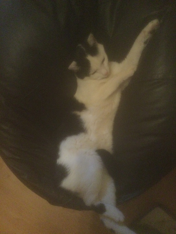 0B76B85D-591A-4CA3-B4FA-D663E0EB3F4B