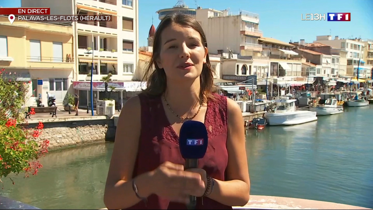 2020-09-02_13_00_TF1_Le-13h.mp4_snapshot_00.21.28.429