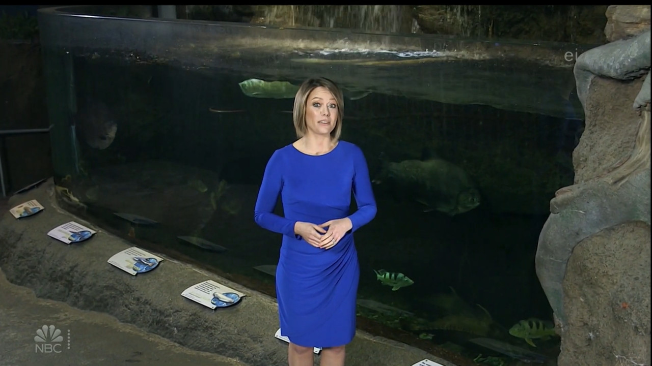 11.07 - 15.00.00 - Earth Odyssey With Dylan Dreyer. The world's smart....ts_snapshot_00.14.52.284