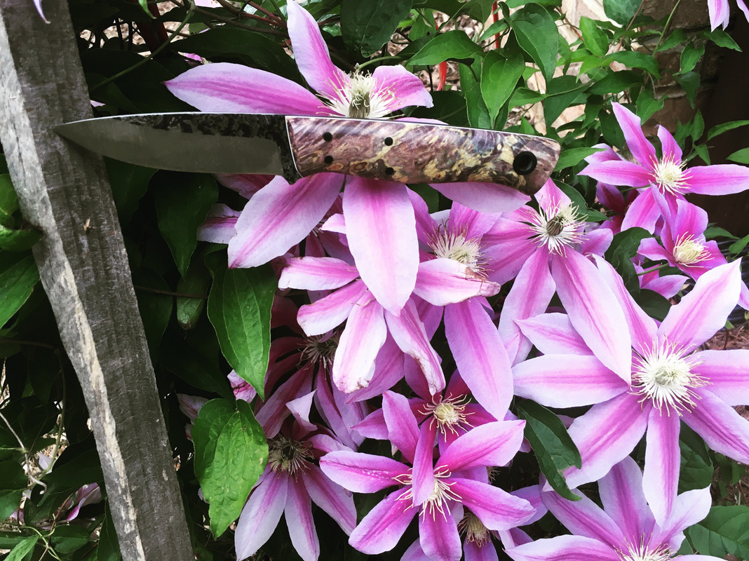 0AF3E8C9-F17A-4BA1-B064-C97CD0406638