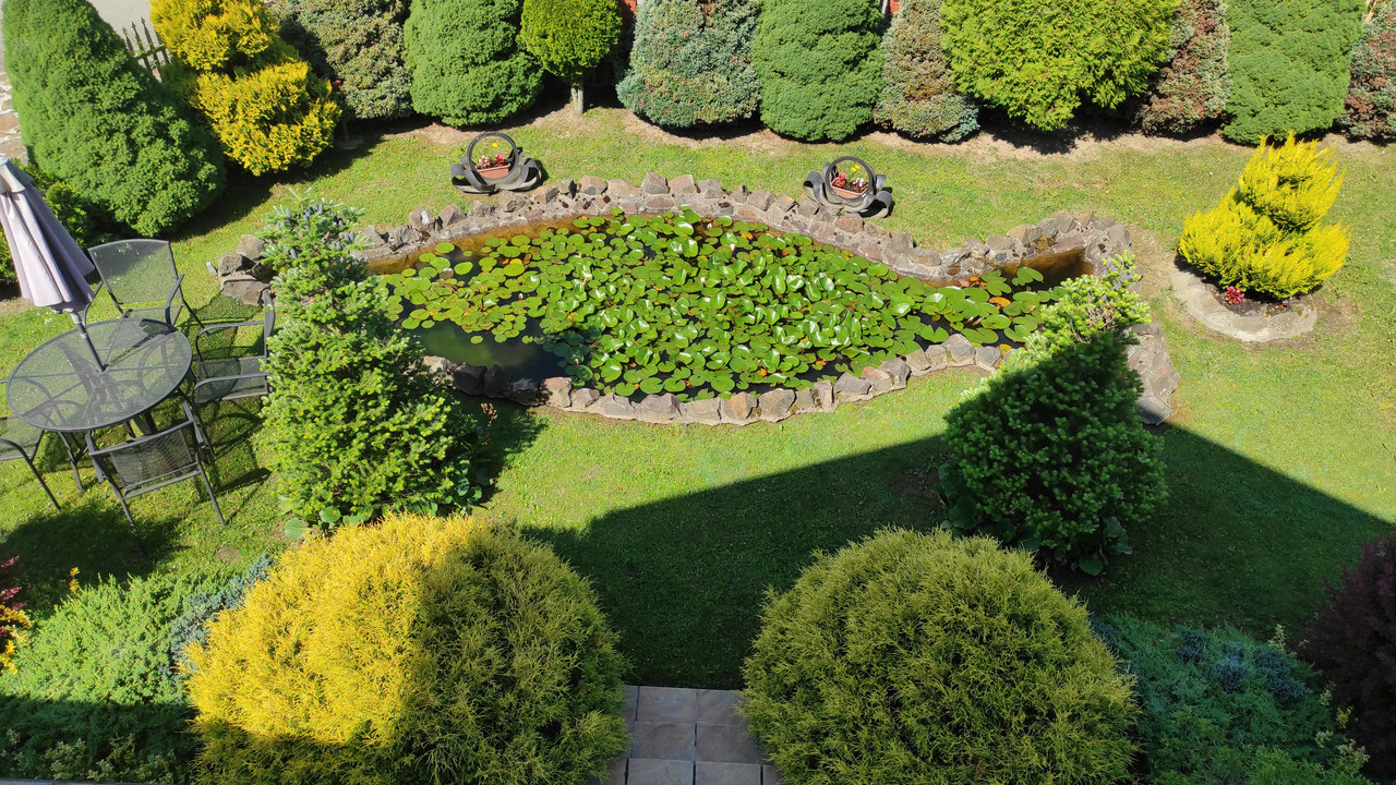 01.12c - IMG_20220616_093633 (Czesio1)