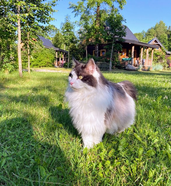 3-DA5-BFF5-3-D52-417-F-9170-483-F20-DF43