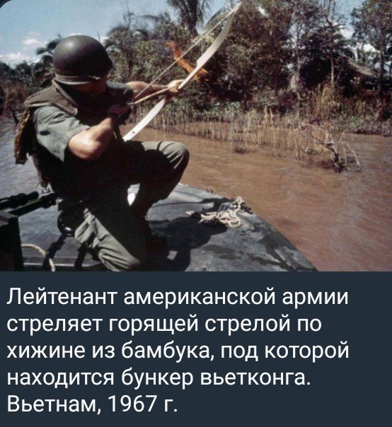 https://i.postimg.cc/cJWtfLDj/photo-2026-08-03-21-46-06.jpg