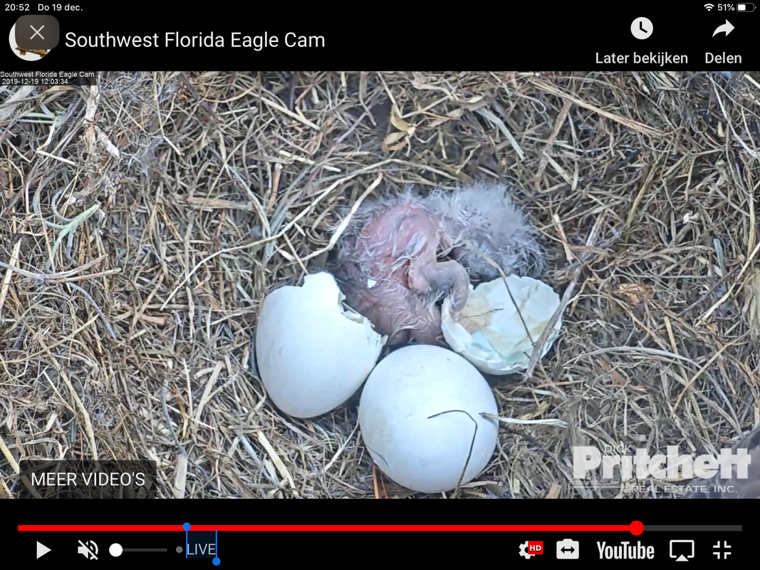 59A208EA-189C-49B7-98BA-3508728AB394