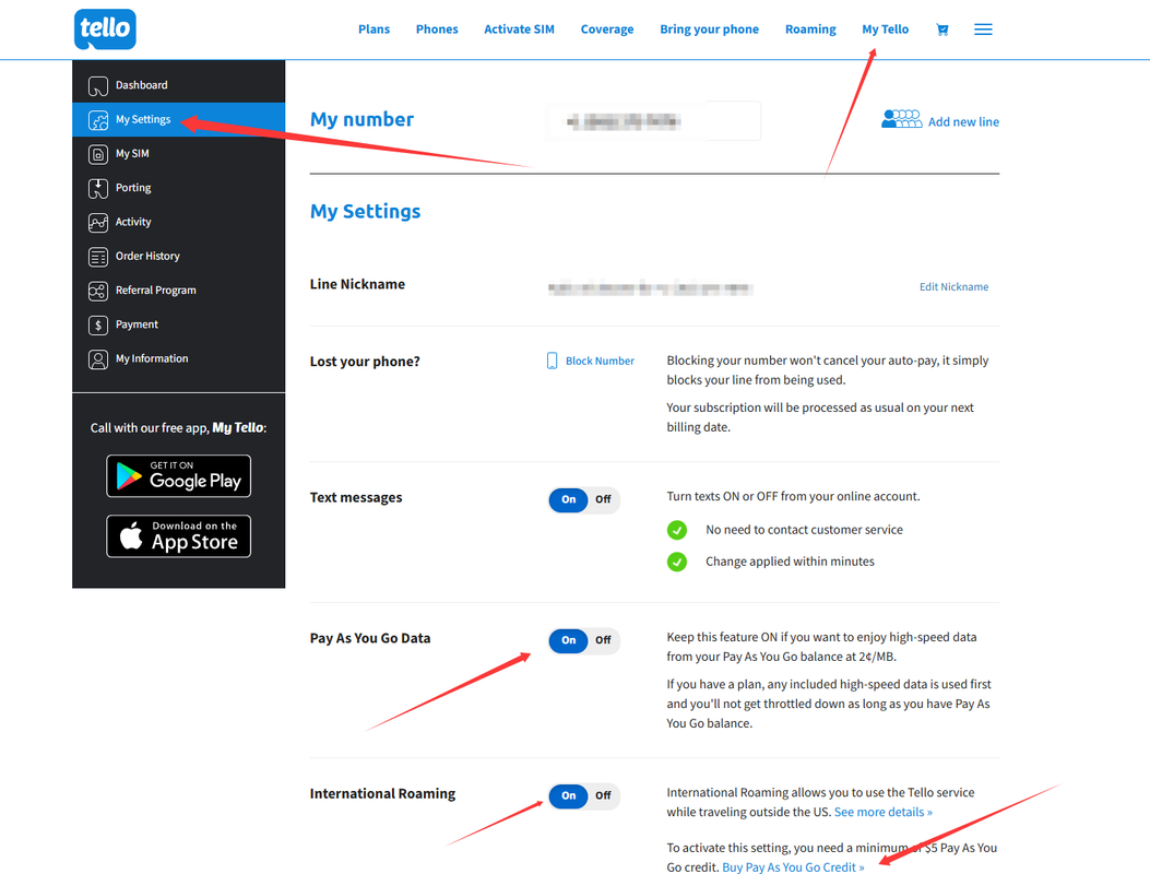 PayG漫游和上网设置 PayG漫游和上网设置