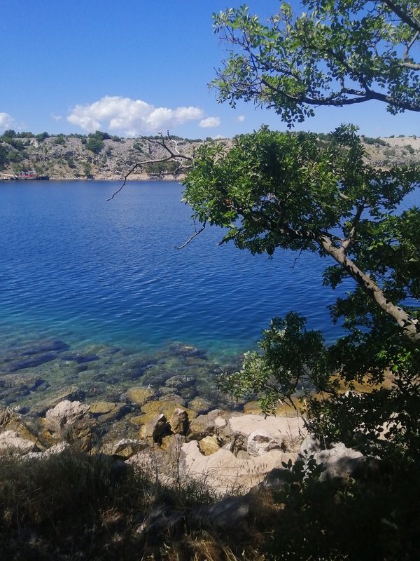 Slika