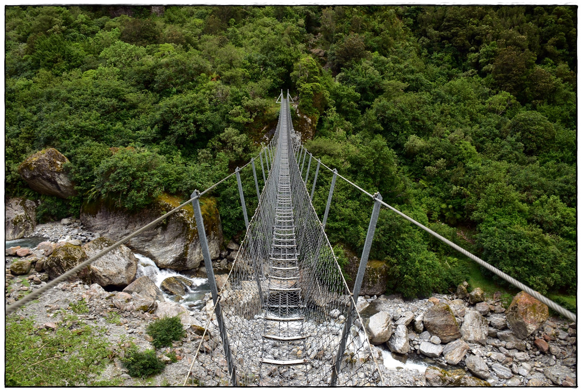 West Coast: Copland Track (diciembre 2021) - Escapadas y rutas por la Nueva Zelanda menos conocida (17)